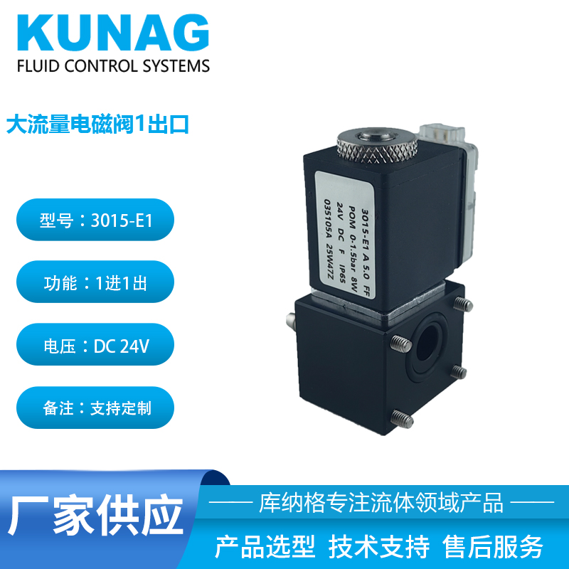 3015-E1型大流量?jī)赏姶砰y 插管6X4 耐腐蝕